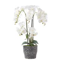 KUNSTBLUME Orchidee weiß im Deko-Topf, 82 cm - Weiß, Kunststoff (82cm) - Homescapes