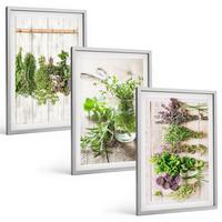 BILDER SET 3er Set - 40x60 cm Silberner Rahmen - Kräuterpflanzen für die Küche - Silberfarben, Kunststoff (40/60cm) - TULUP