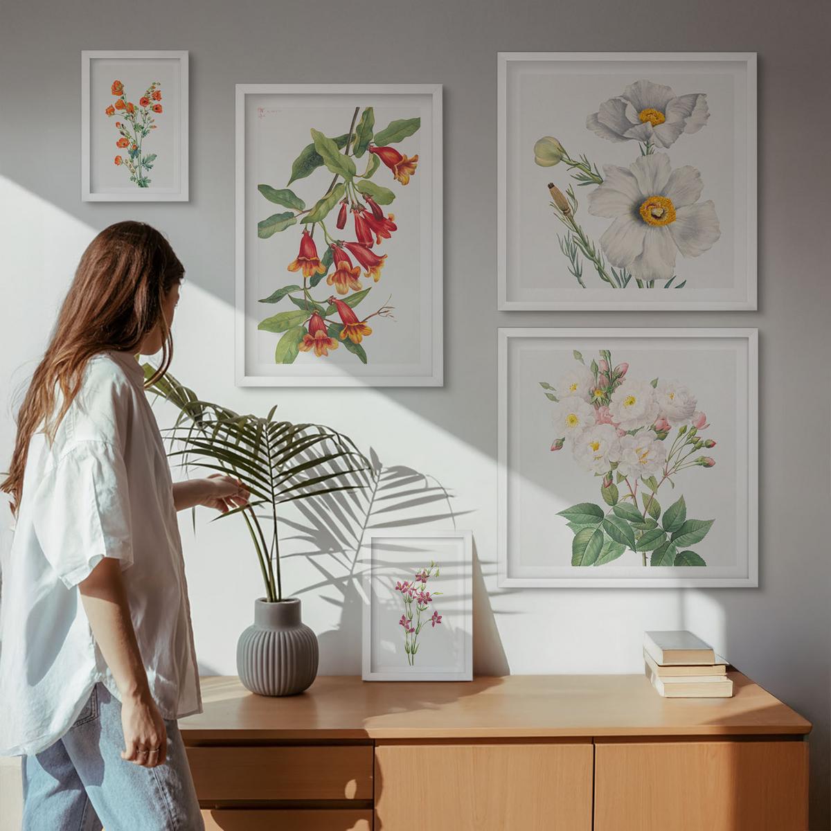 BILDER SET 5er Set - 50x50 cm & 20x30 cm & 40x60 cm Weißer Rahmen - Blumenmalerei im Retro-Stil - Weiß, Kunststoff (40/60cm) - TULUP