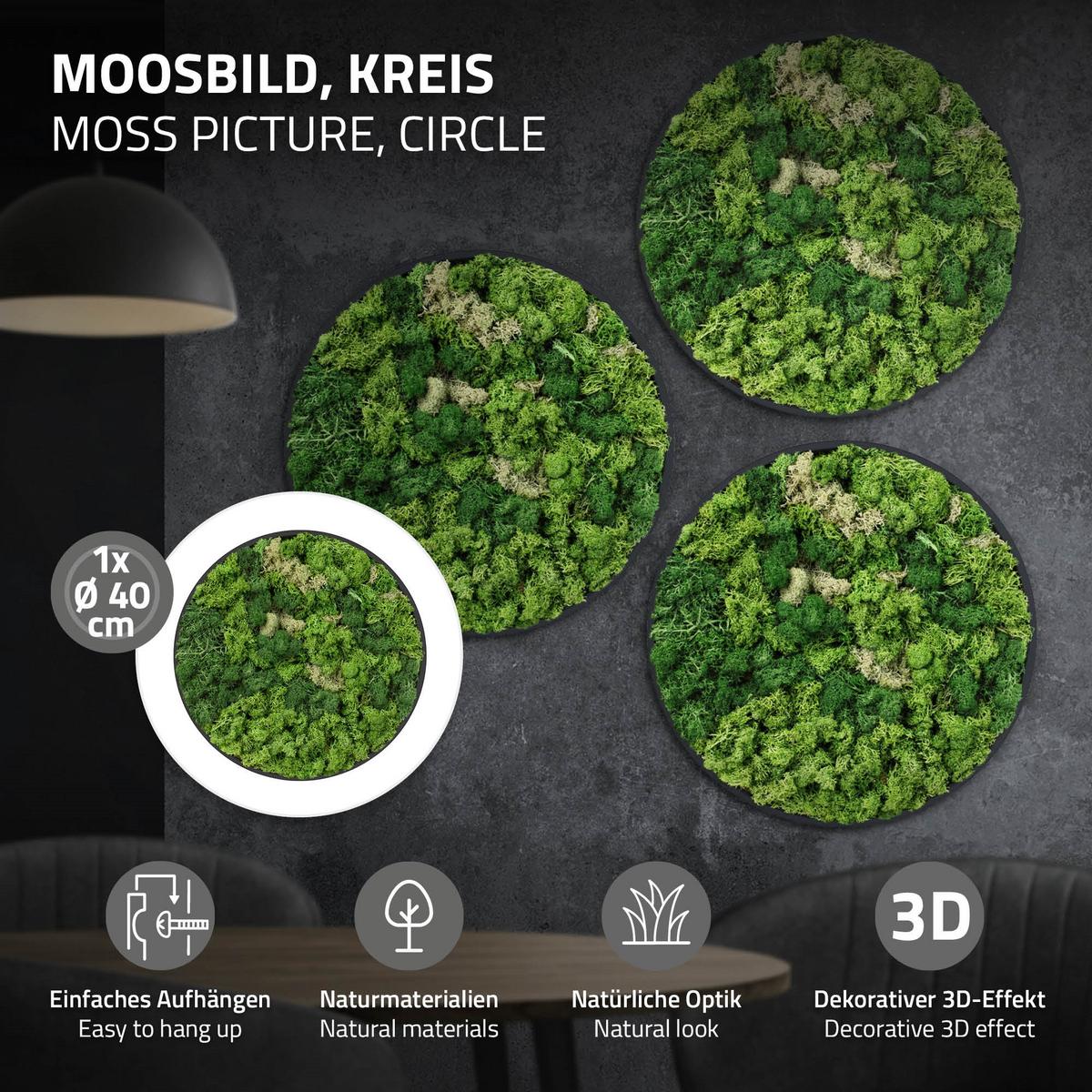 MOOSBILD Rund Ø 40 cm Mooswand Indoor mit Echtem Islandmoos und Holzrahmen Grün Pflegefrei - Salbeigrün, Naturmaterialien (40/40/3cm) - ECD-Germany