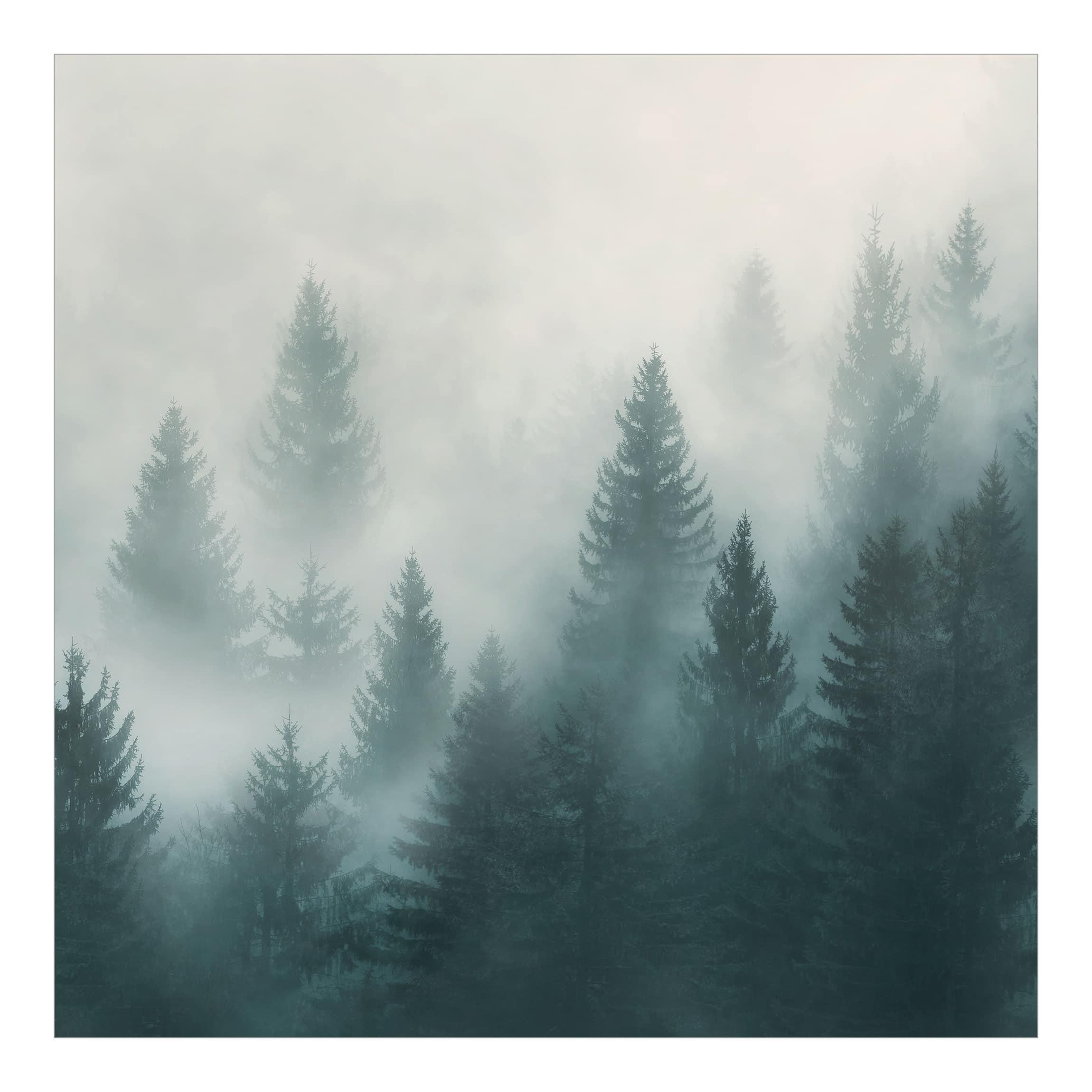 FOTOTAPETE Nadelwald im Nebel 288/288 cm - Eichefarben, Papier (288/288cm) - Bilderwelten