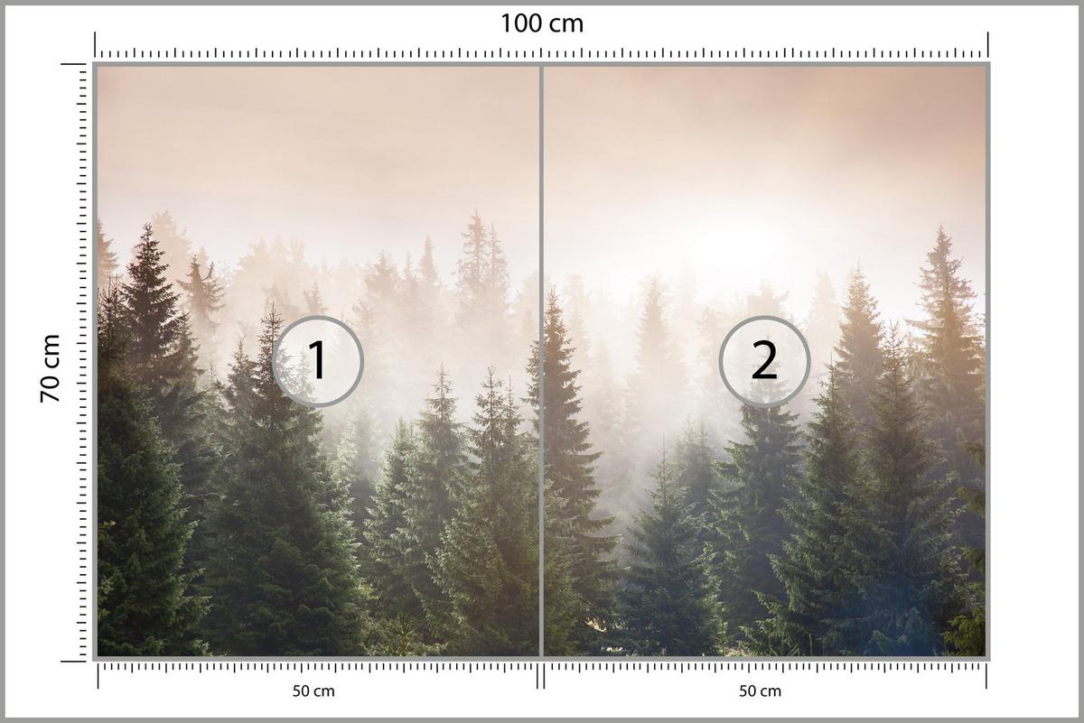 FOTOTAPETE für Wohnzimmer Nadelwald Bäume im Nebel Mystisch 100x70 - Orange/Braun, Papier (100/70cm) - Muralo