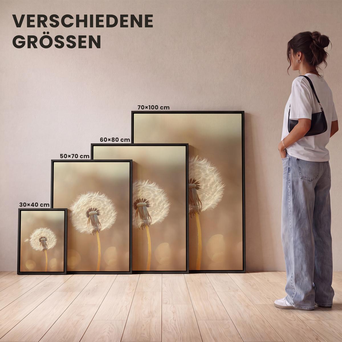 LEINWAND Bilder mit Rahmen - Löwenzahn - Beige - Natur - Blume - 50x70 - Hellbraun, Textil (50/70cm) - MuchoWow