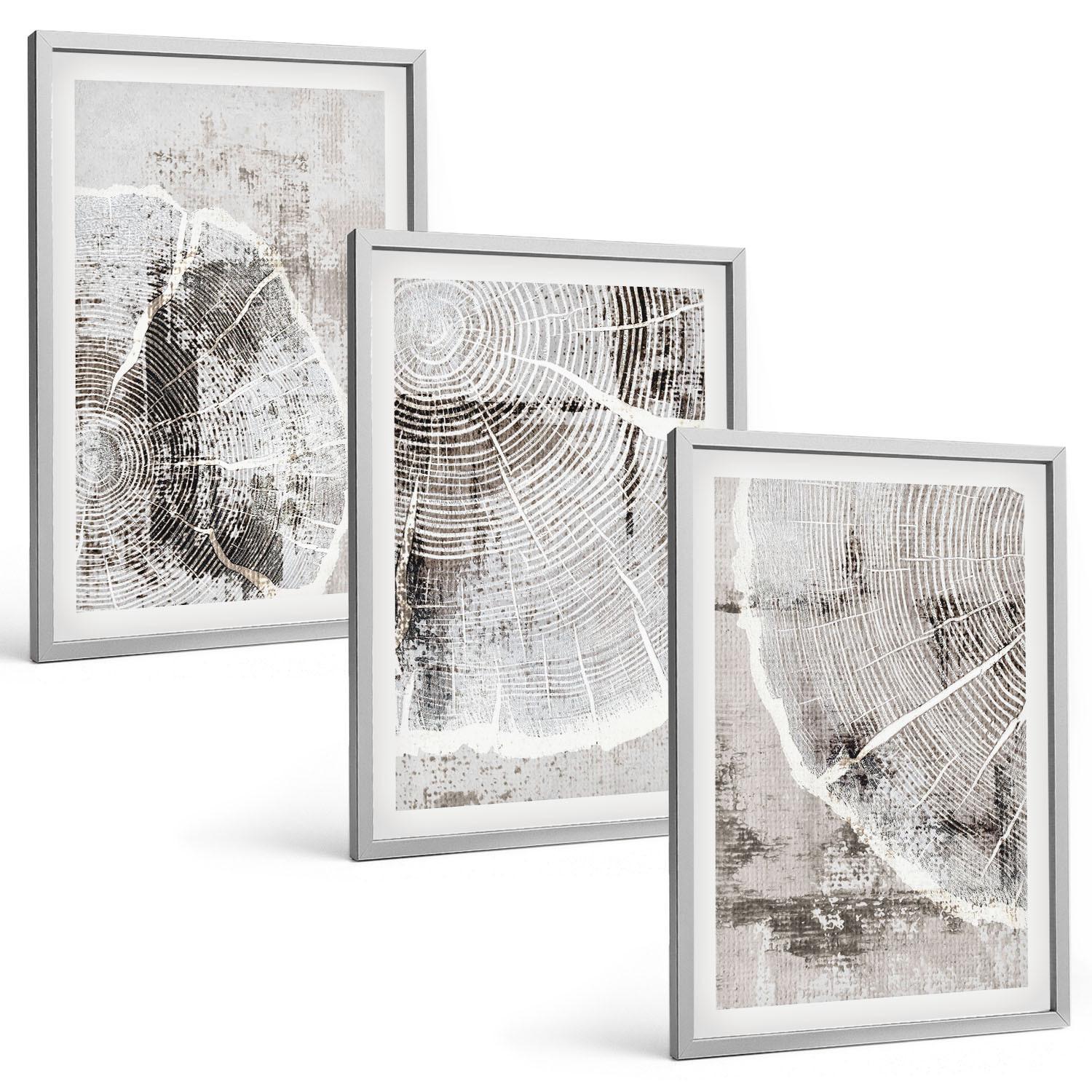BILDER SET 3er Set - 40x60 cm Silberner Rahmen - Graue Holzmaserungsmuster - Silberfarben, Kunststoff (40/60cm) - TULUP