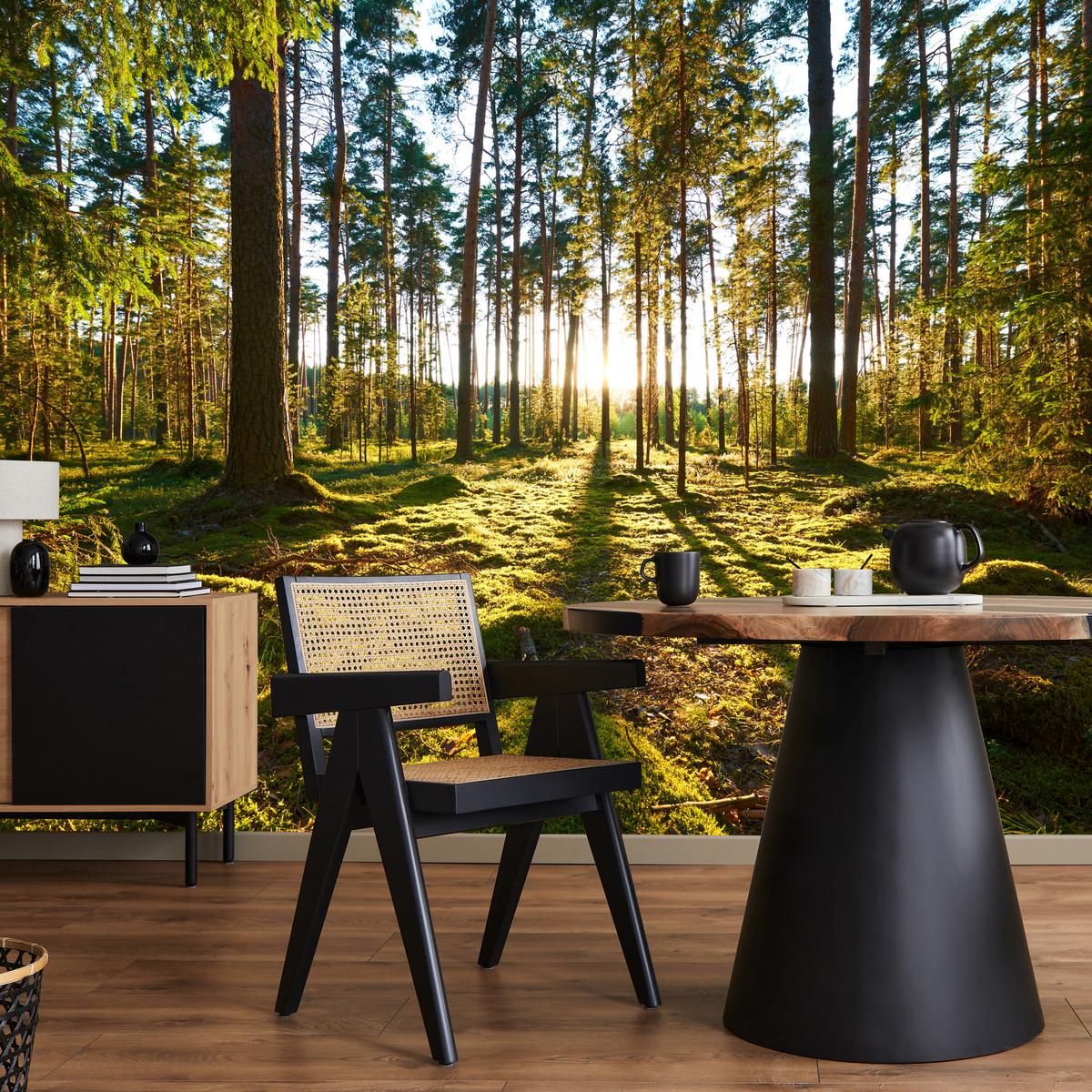 FOTOTAPETE für Küche Sonnenaufgang WALD Moss Bäume Sonnenstrahl 150x105 - Gelb/Braun, Papier (150/105cm) - Muralo