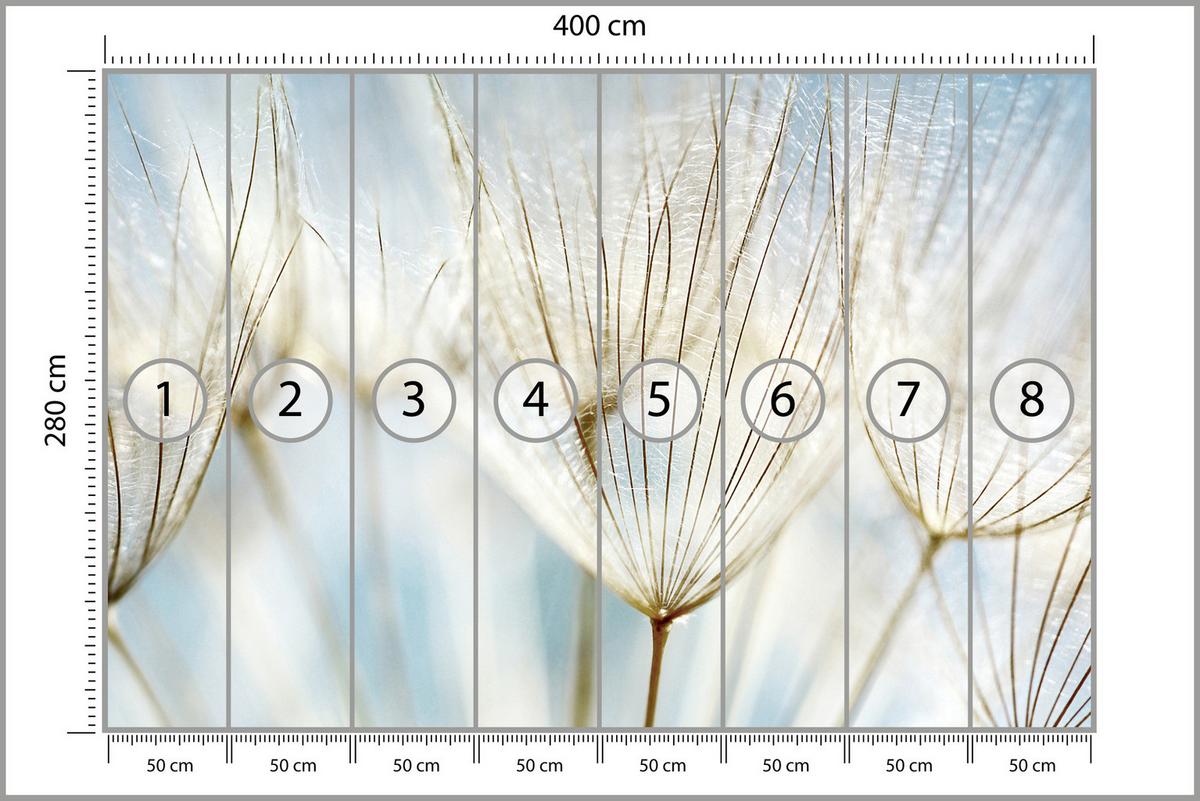 FOTOTAPETE für Wohnzimmer Löwenzahn Pflanzen Natur 400x280 - Blau/Beige, Papier (400/280cm) - Muralo