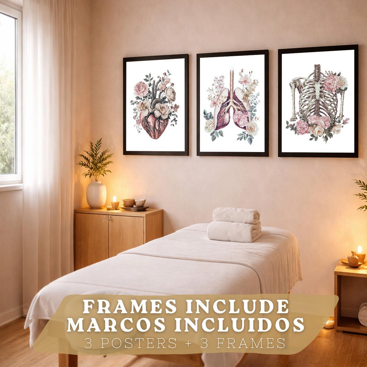POSTER Set aus 3 Anatomie Florale Drucke und Wandbilder mit Herz Brustkorb und Lungen Detaillierter Illustrationsstil Größe Schwarzer Rahmen A3 - Schwarz, Papier (29.7/42/3cm) - Nacnic