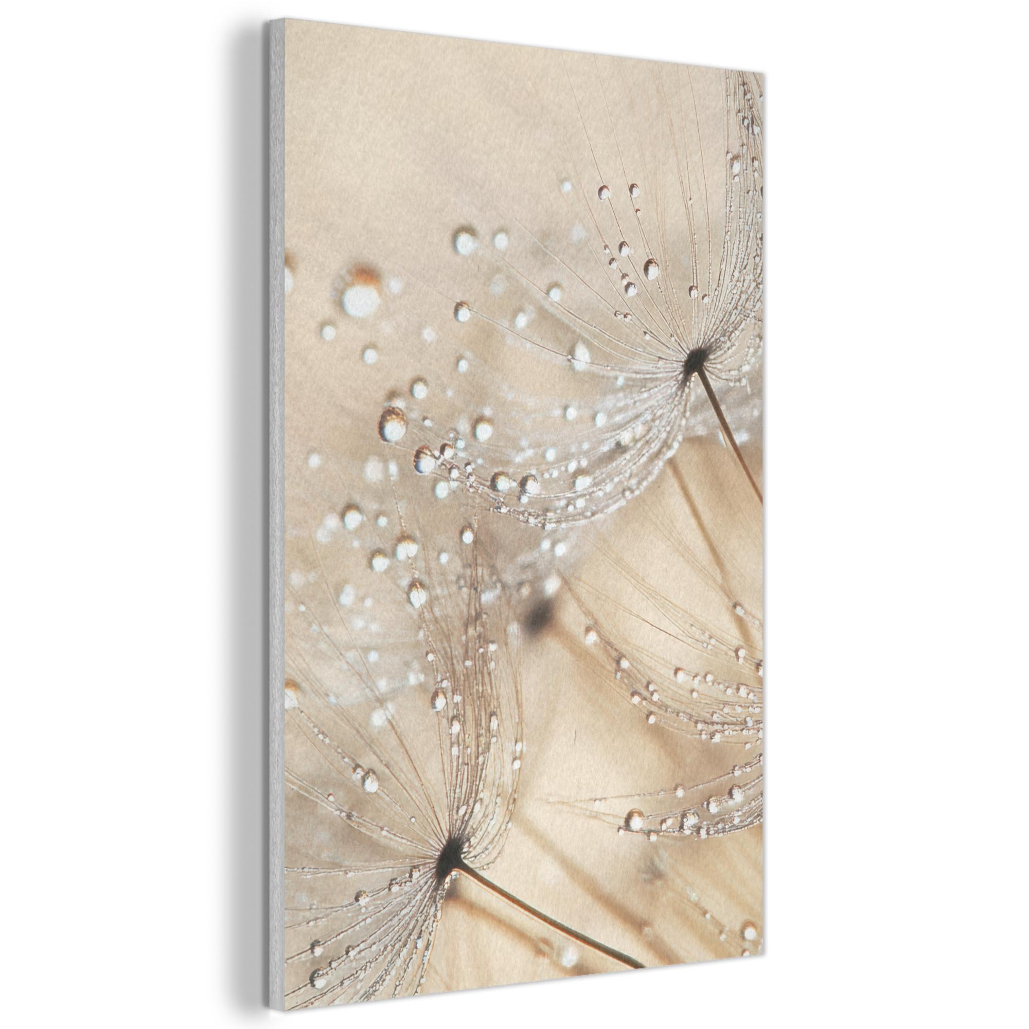 AKUSTIKBILD Löwenzahn - Abstrakt - Natur - Beige Wanddeko 60x90 cm - Braun, Kunststoff (60/90/0.9cm) - MuchoWow