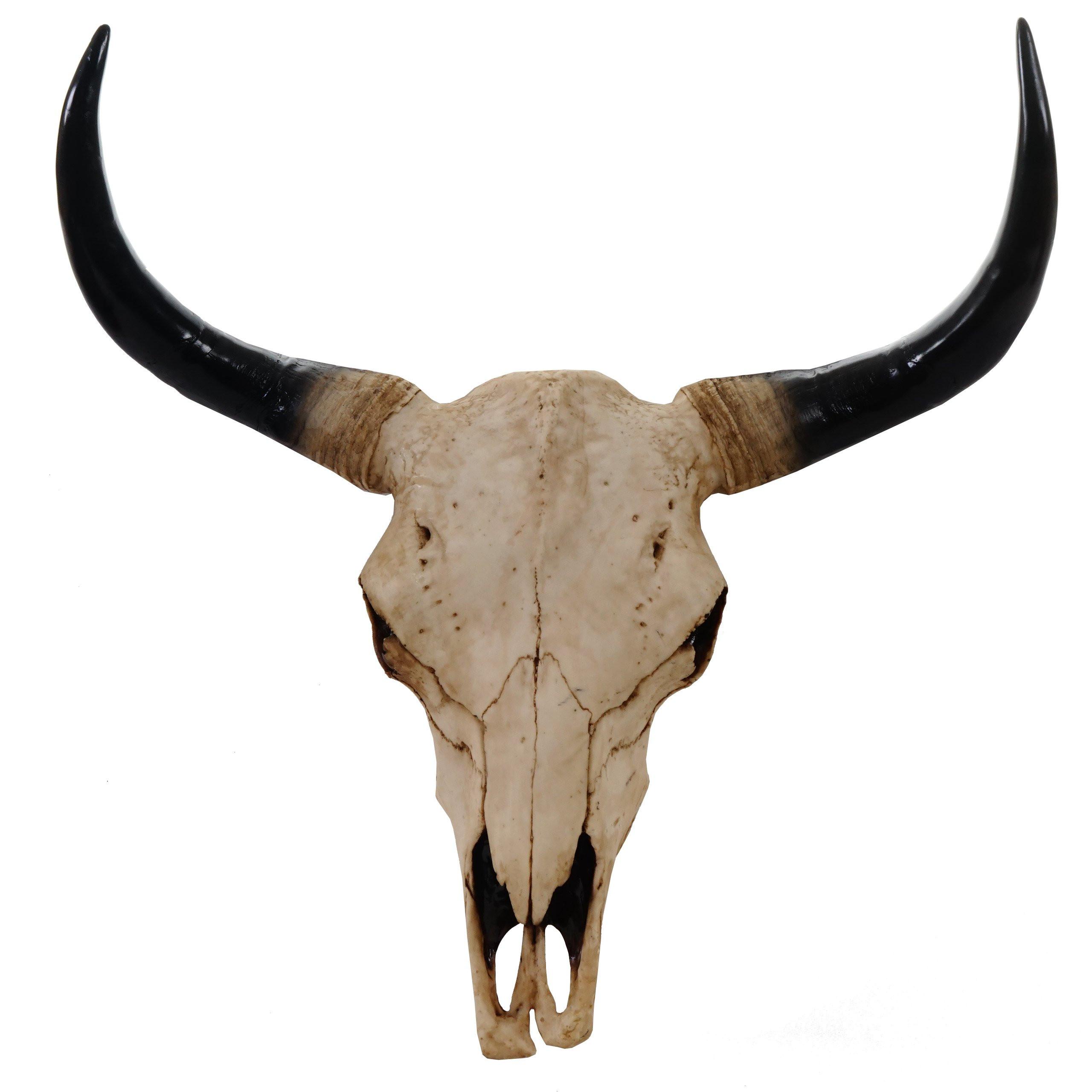 DEKO SCHÄDEL STIER Beige, Schwarz - Beige/Schwarz, Stein (42/45/15cm) - MCW