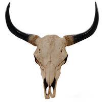 DEKO SCHÄDEL STIER Beige, Schwarz - Beige/Schwarz, Stein (42/45/15cm) - MCW