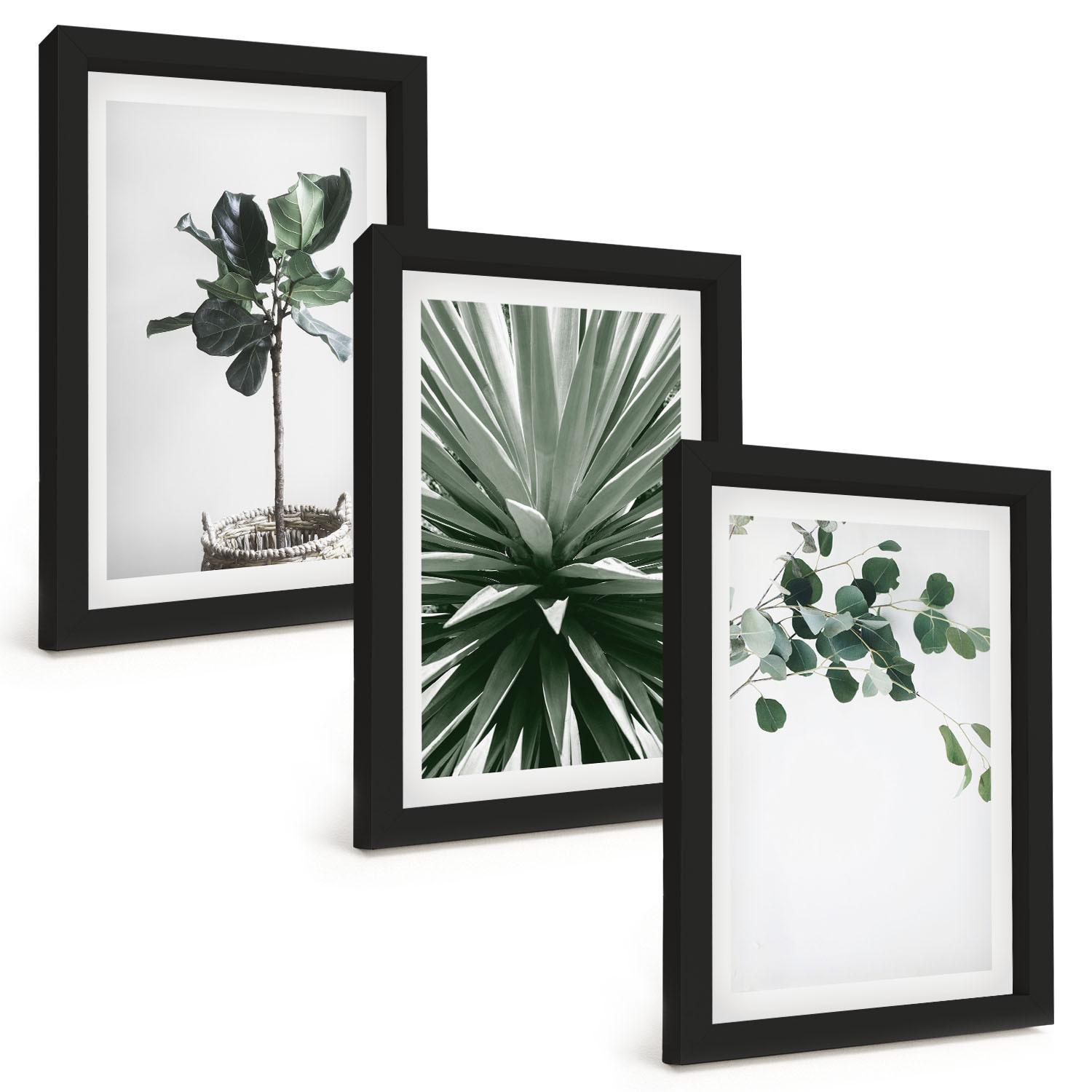 BILDER SET 3er Set - 20x30 cm Schwarzer Rahmen - Minimalismus mit grünen Pflanzen - Schwarz, Kunststoff (20/30cm) - TULUP