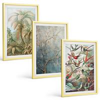 BILDER SET 3er Set - 40x60 cm Goldrahmen - Tropische Pflanzen, Vögel, Natur - Goldfarben, Kunststoff (40/60cm) - TULUP