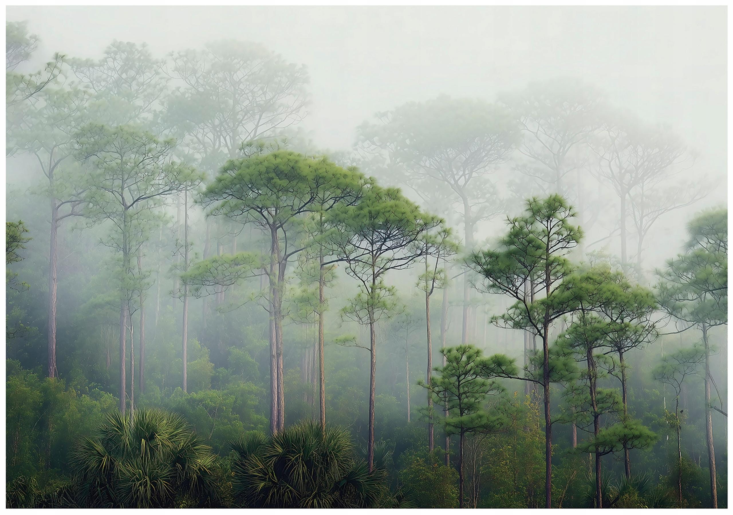 FOTOTAPETE 3D Effekt Wald im Nebel 150x105 - Multicolor, Papier (150/105cm) - Wallarena