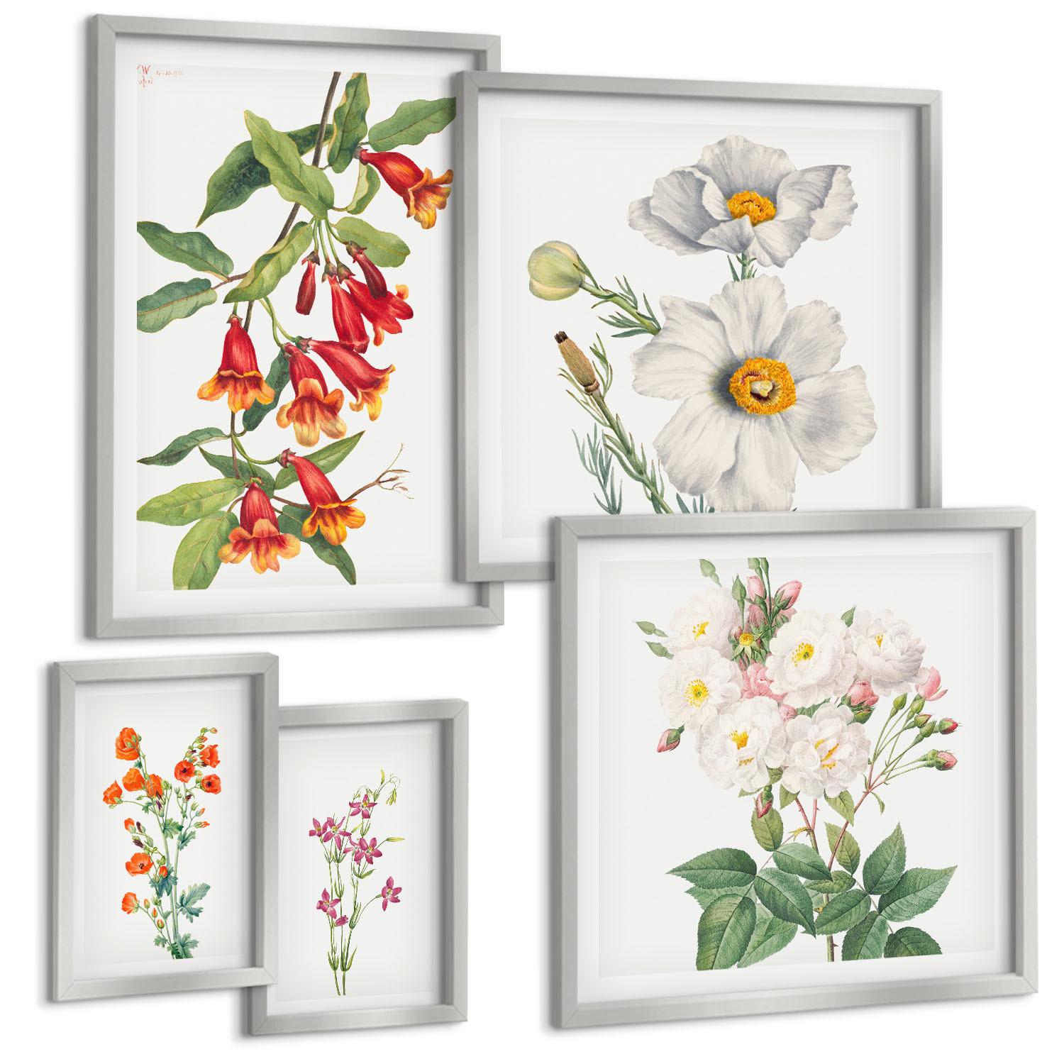 BILDER SET 5er Set - 50x50 cm & 20x30 cm & 40x60 cm Silberner Rahmen - Blumenmalerei im Retro-Stil - Silberfarben, Kunststoff (40/60cm) - TULUP