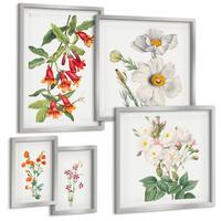 BILDER SET 5er Set - 50x50 cm & 20x30 cm & 40x60 cm Silberner Rahmen - Blumenmalerei im Retro-Stil - Silberfarben, Kunststoff (40/60cm) - TULUP