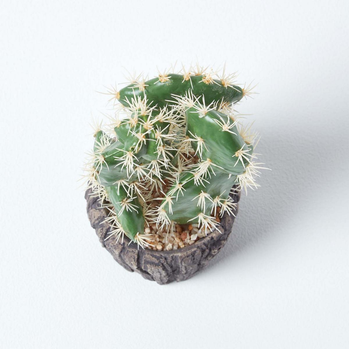 KUNSTPFLANZE Kaktus im Holzoptik-Topf, 26 cm - Grün, Kunststoff (26cm) - Homescapes