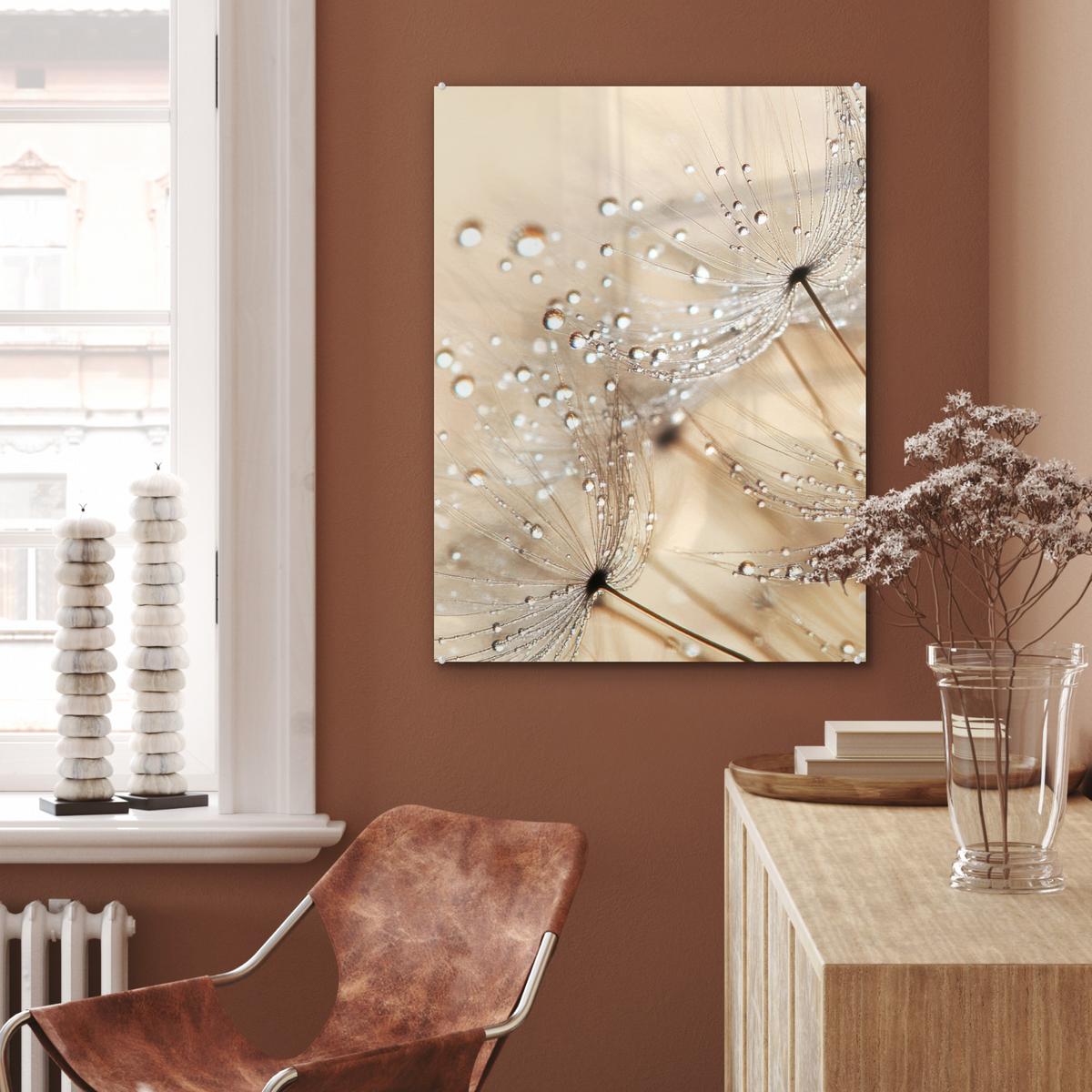 ACRYLGLASBILD Löwenzahn - Abstrakt - Natur - Beige 60x80 cm - Braun, Glas (60/80cm) - MuchoWow