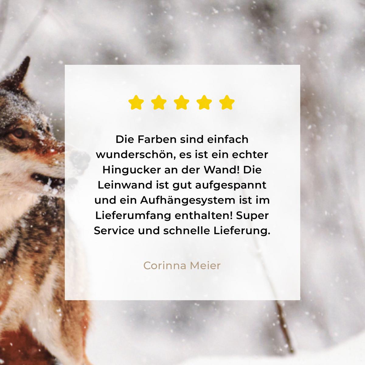 LEINWANDBILD Wolf - Winter - Schnee - Natur - Tiere Wandbild 40x30 cm - Haselnussfarben, Textil (40/30cm) - MuchoWow