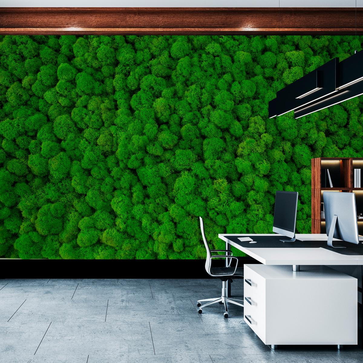 FOTOTAPETE für Jugendzimmer Dekorativer Grüner Moos Modern 150x105 - Grün, Papier (150/105cm) - Muralo