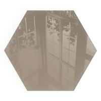 GLASPLATTE für Kamin h40 cm - Braun, Glas (40/40/0.4cm) - TULUP