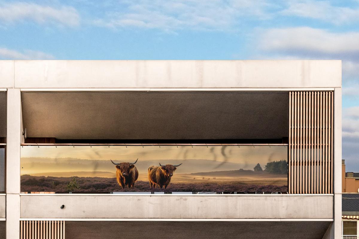 BALKON-SICHTSCHUTZ Schottische Hochlandbewohner - Heide - Landschaft - Tiere Groß 500x90 cm - Cognac, Kunststoff (500/90cm) - MuchoWow