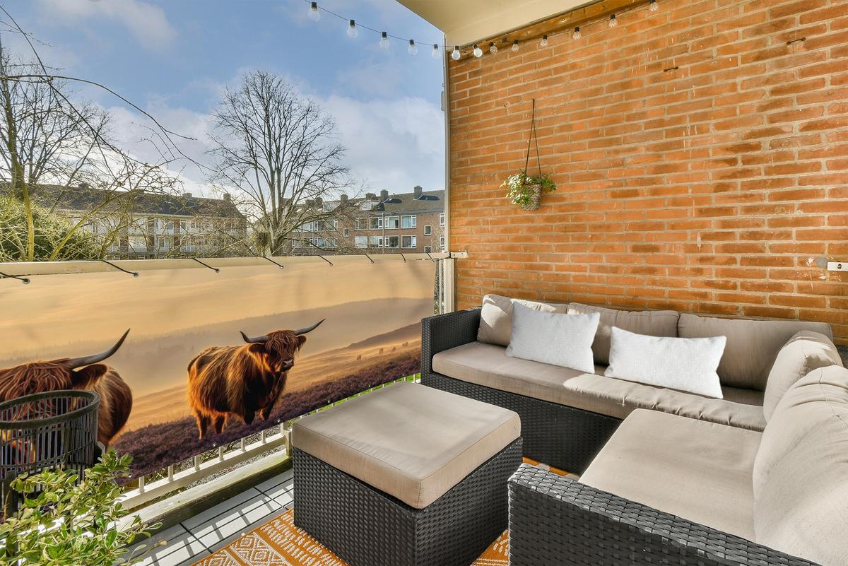 BALKON-SICHTSCHUTZ Schottische Hochlandbewohner - Heide - Landschaft - Tiere Balkon Deko 300x110 cm - Cognac, Kunststoff (300/110cm) - MuchoWow