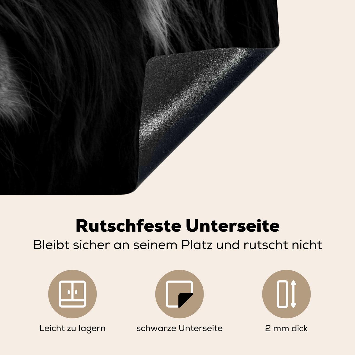 HERDABDECKPLATTE Schottischer Highlander - Kuh - Schwarz - Weiß - Tiere Induktionsmatte 77x59 cm - Schwarz, Kunststoff (77/59/0.2cm) - MuchoWow