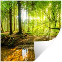 WANDTATTOO Wald - Landschaft - Wasser - Bäume - Sonne - Grün - Natur Wanddeko 50x50 cm - Grün, Kunststoff (50/50/0.1cm) - MuchoWow