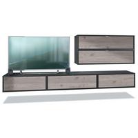 WOHNWAND Lana Fronten in Eiche Nordic - Silbereichenfarben, Holzwerkstoff (260/150/37cm) - Vladon