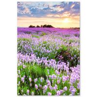 GARTENPOSTER Blumen - Lavendel - Lila - Himmel - Sonnenuntergang - Wiese - Natur Outdoor Bilder 80x120 cm - Flieder, Kunststoff (80/120/0.2cm) - OnlyWow
