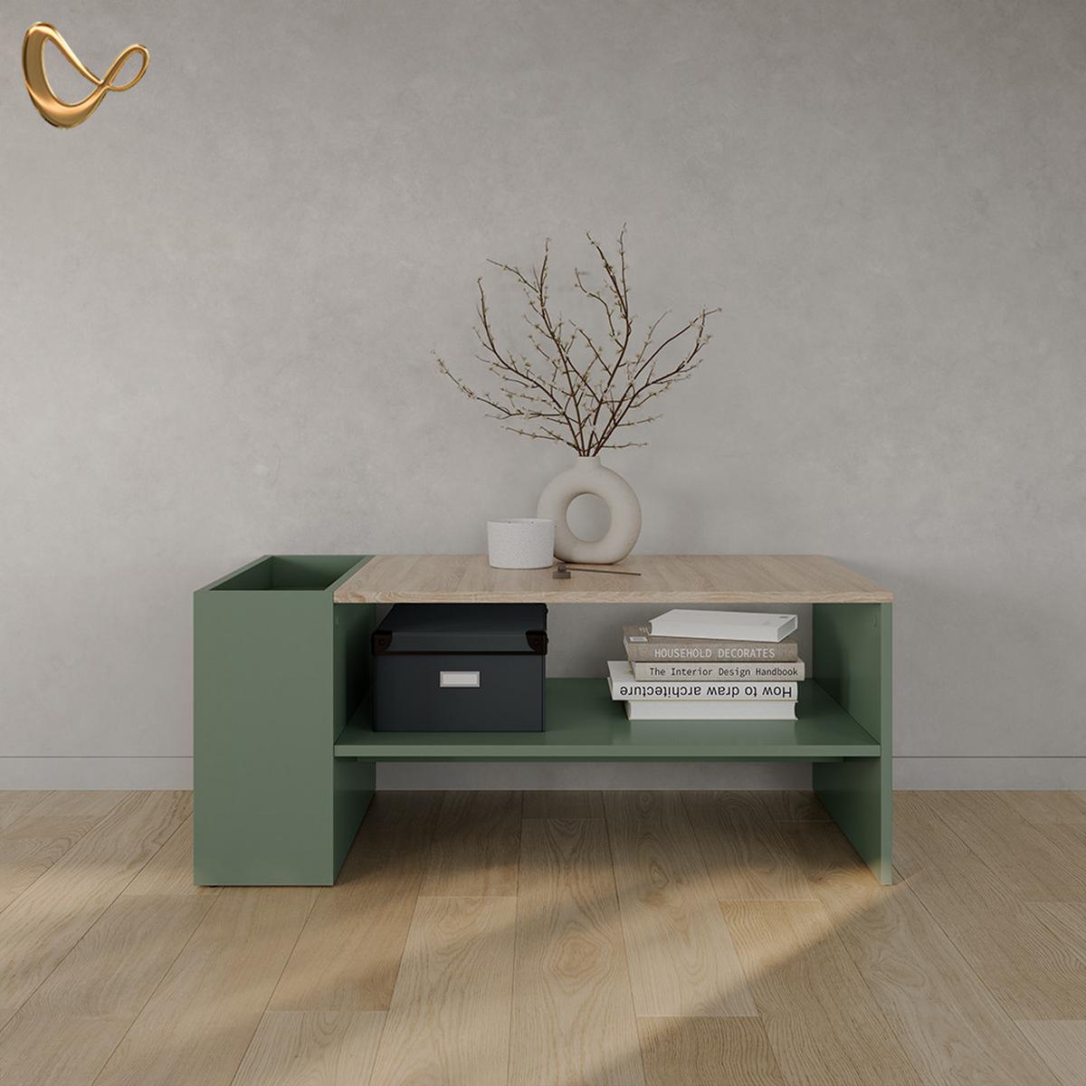 COUCHTISCH Piave Grün mit Regalen - Grün, Holzwerkstoff (55/100/42cm) - Livinity®