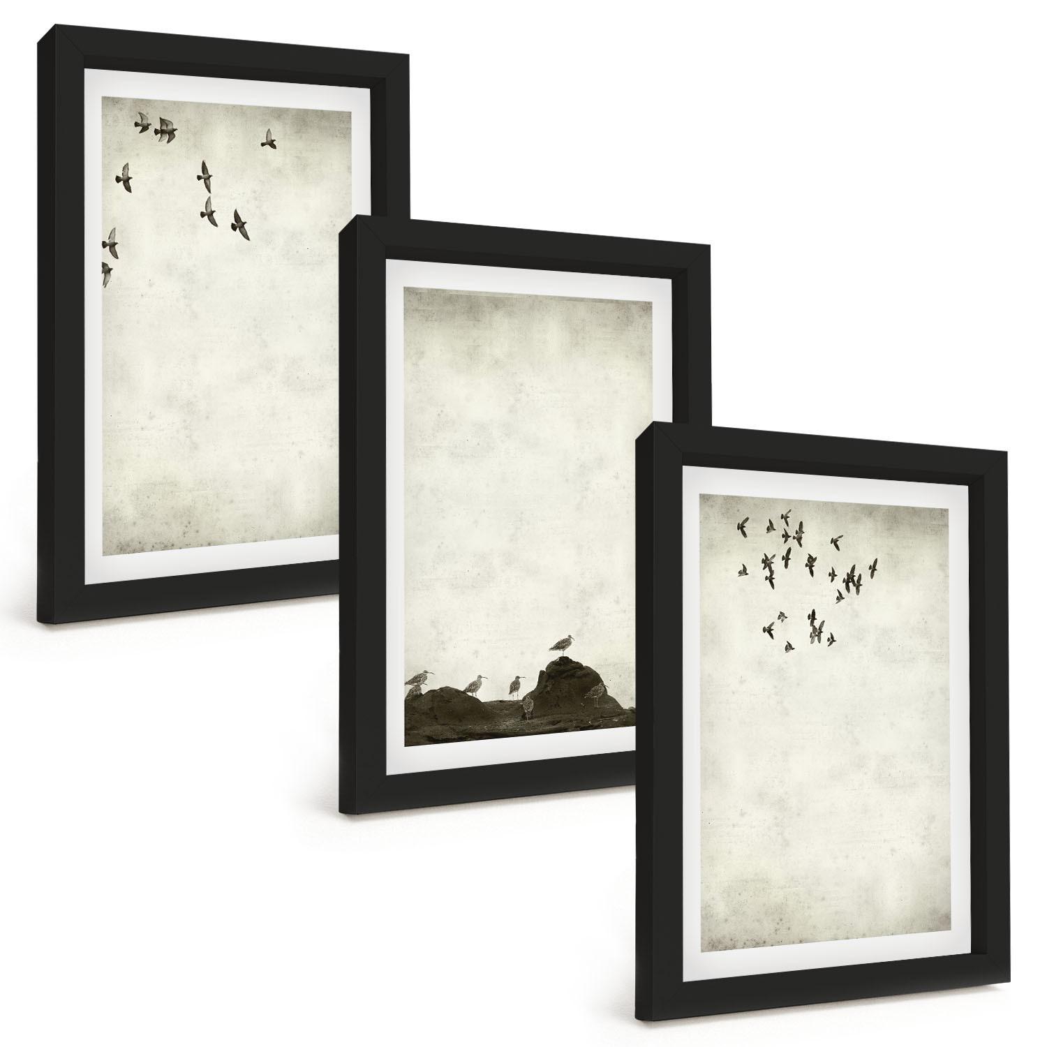 BILDER SET 3er Set - 20x30 cm Schwarzer Rahmen - Fliegende Vögel Minimalismus - Schwarz, Kunststoff (20/30cm) - TULUP