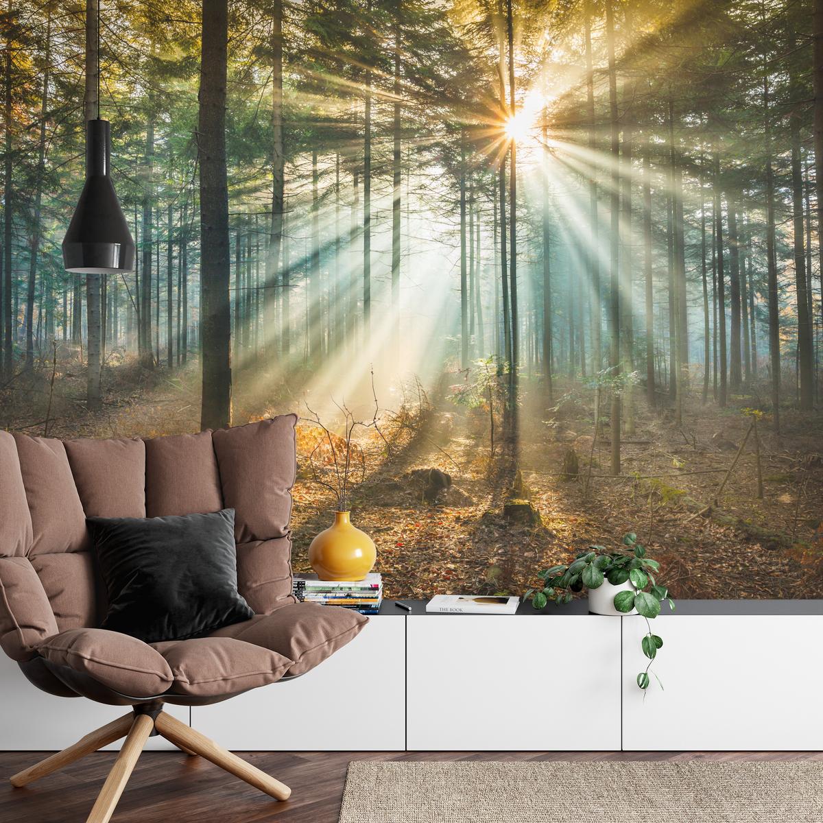 FOTOTAPETE für Wohnzimmer Herbstwald Sonnenuntergang Bäume Natur 300x210 - Beige/Gelb, Papier (300/210cm) - Muralo