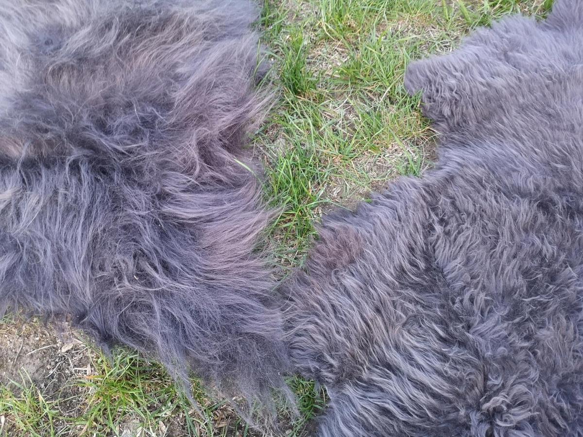 LAMMFELL Öko Schaffell grau langhaar 2. Wahl Teppich ca. 105 cm - Dunkelgrau/Grau, Fell (60/105cm) - Provellus