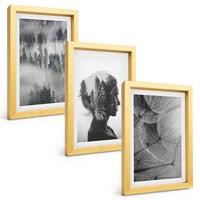BILDER SET 3er Set - 20x30 cm Goldrahmen - Waldnebelporträt Baum Löwenzahn - Goldfarben, Kunststoff (20/30cm) - TULUP