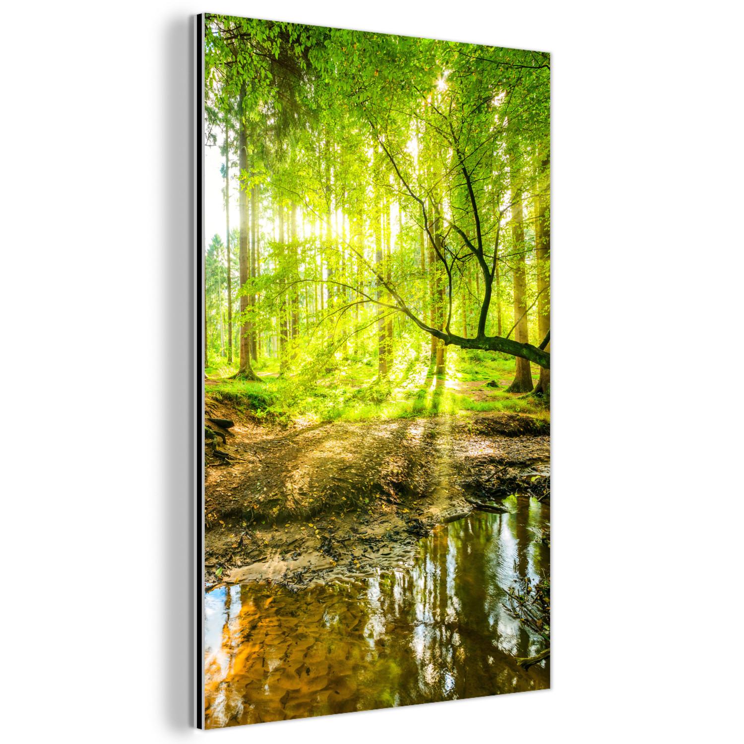 METALLBILD Wald - Landschaft - Wasser - Bäume - Sonne - Grün - Natur Deko Wohnzimmer 60x90 cm - Grün, Metall (60/90cm) - MuchoWow