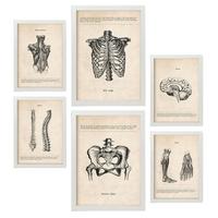 POSTER Set Mit 6 Von Kopf Bis Fuß Medizinische Illustrationen Im Vintage Stil Von Anatomie, Körperteilen, Knochen Und Muskeln A3 & A4 Weißer Rahmen - Weiß, Papier (29/3cm) - Nacnic