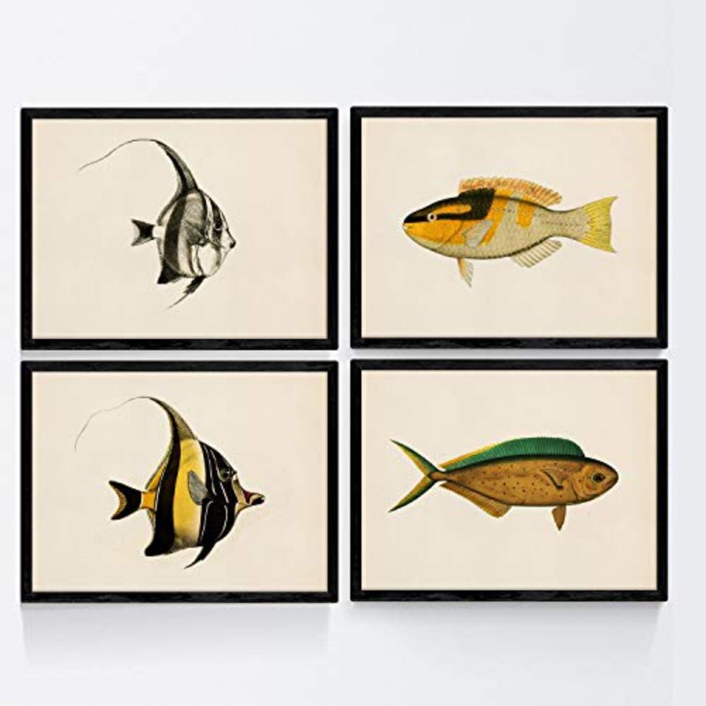 POSTER Set mit 4 Fischweinleseffekt Gelbfarben A3 Rahmenlos - Klar, Papier (29.7/3cm) - Nacnic