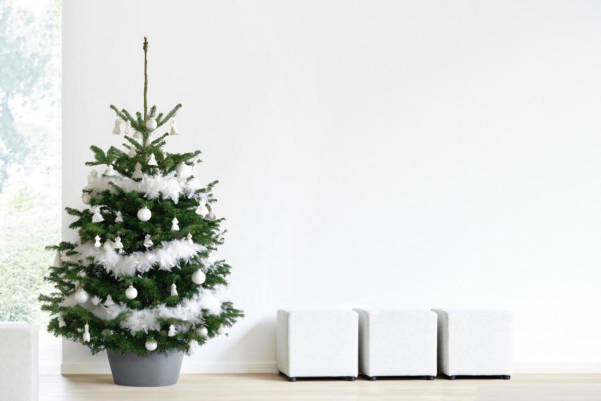 PFLANZENSTÄNDER Weihnachtsbaumständer 53/24 cm Grau - Grau, Kunststoff (53/24cm) - Ecopots