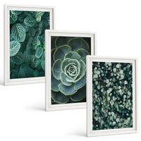 BILDER SET 3er Set - 40x60 cm Weißer Rahmen - Sukkulenten - Weiß, Kunststoff (40/60cm) - TULUP