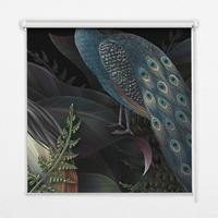 INNENROLLO - Fensterrollo - Rollo - 120x140 cm - Vögel im Grünen - Schwarz, Kunststoff (120/140/0.5cm) - TULUP