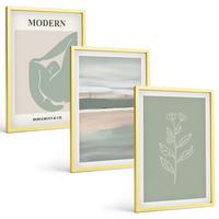 BILDER SET 3er Set - 40x60 cm Goldrahmen - Abstrakte pastellfarbene Pflanzenformen - Goldfarben, Kunststoff (40/60cm) - TULUP