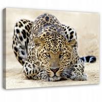 LEINWANDBILD Lampard Tiere Beige 120x80 cm - Multicolor, Holzwerkstoff (120/80cm) - Wallarena