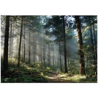 VLIESTAPETE Wald 3D Effekt Natur Schlafzimmer 400x280 - Multicolor, Papier (400/280cm) - Wallarena