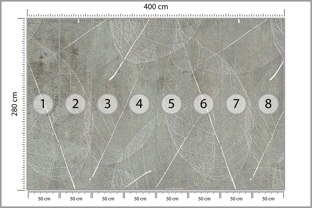 FOTOTAPETE für Schlafzimmer Weiße Blätter auf Beton 400x280 - Weiß/Grau, Papier (400/280cm) - Muralo