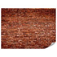 FOTOTAPETE für Wohnzimmer Alte Rote Ziegelwand Rustikal 350x256 - Rot/Orange, Papier (350/256cm) - Muralo