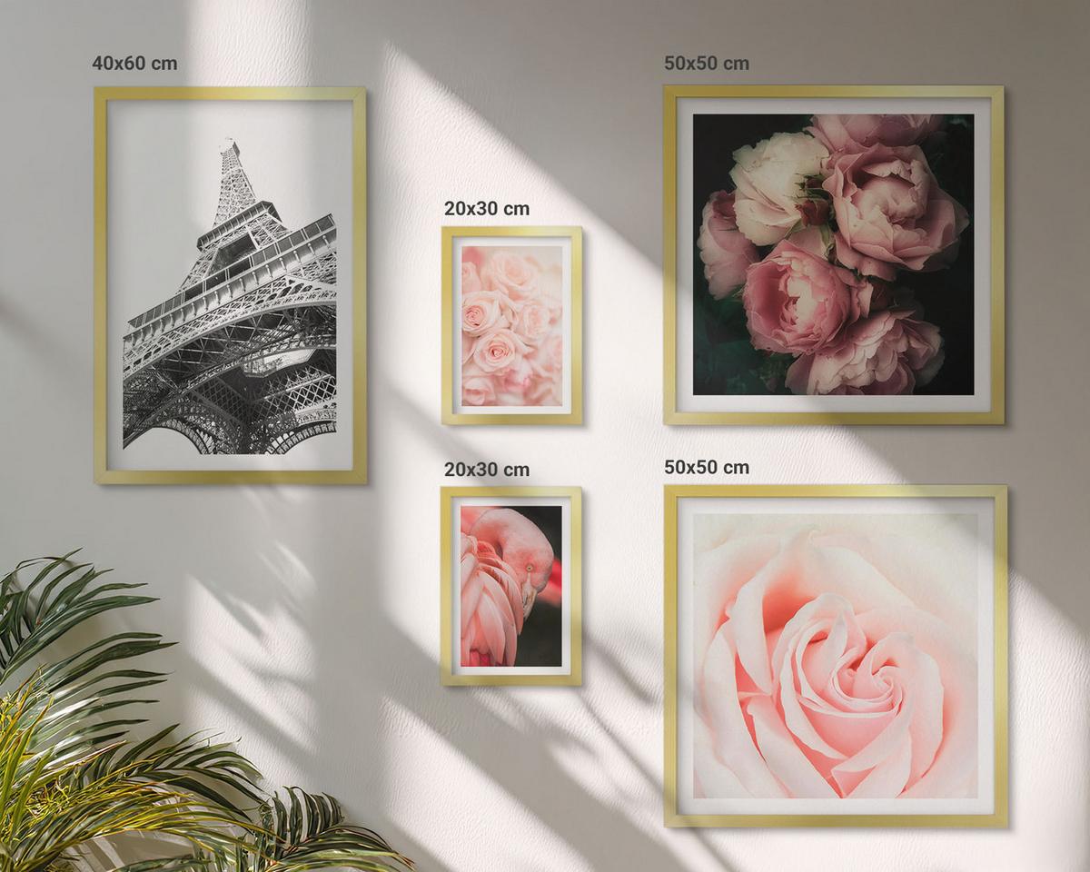 BILDER SET 5er Set - 50x50 cm & 20x30 cm & 40x60 cm Goldrahmen - Berge, Wasser, wunderschöne Landschaften - Goldfarben, Kunststoff (40/60cm) - TULUP