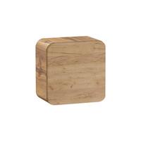 SCHRANK 1 Tür Arun Holz - Braun, Holzwerkstoff (35/35/22cm) - Petits-meubles