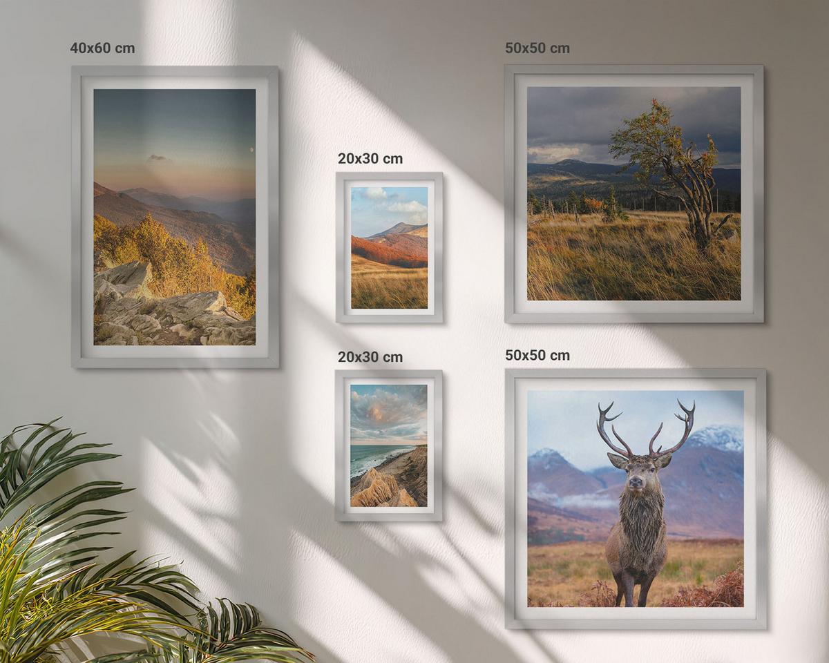 BILDER SET 5er Set - 50x50 cm & 20x30 cm & 40x60 cm Silberner Rahmen - Berglandschaften, Hirschgras - Silberfarben, Kunststoff (40/60cm) - TULUP