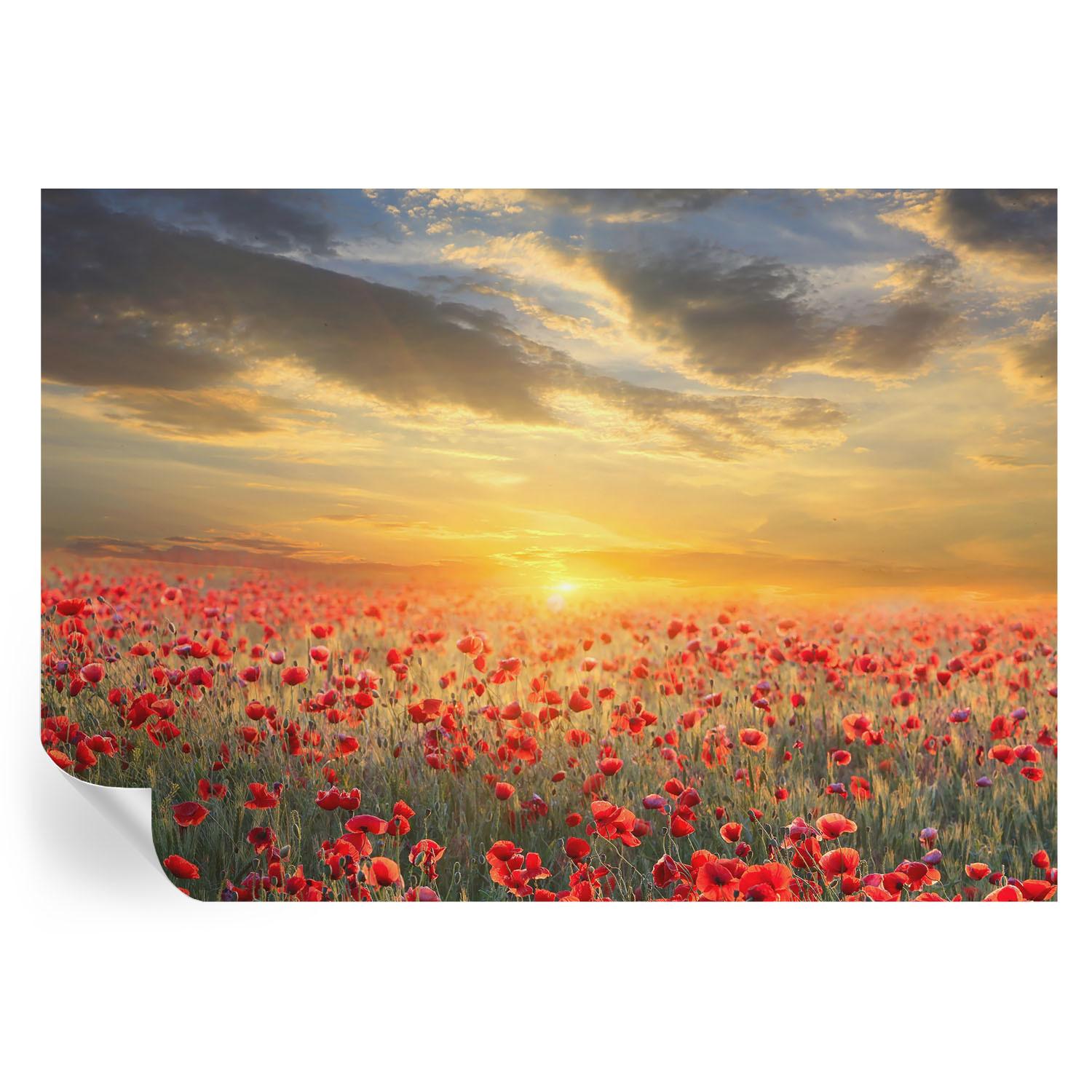 FOTOTAPETE 208x146 cm - Mohnfeld - Rot, Textil (208/146cm) - Wallfluent